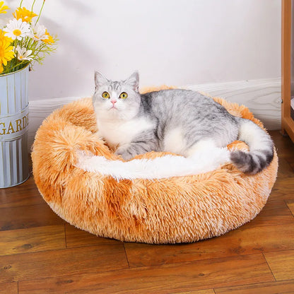 cocoon Pet Bed