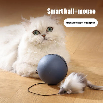 cat teaser mouse chaser ball