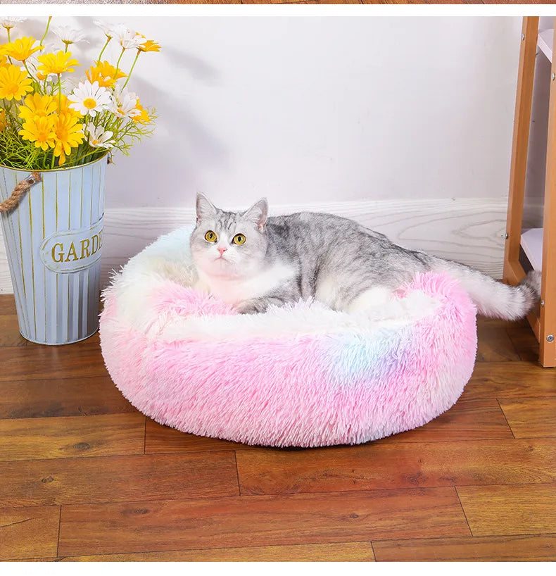 cocoon Pet Bed