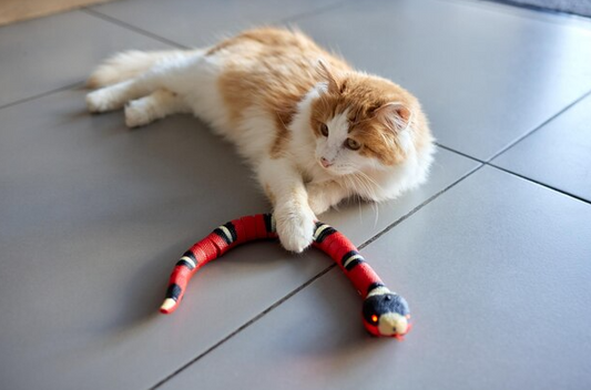 USB  snake cat toy