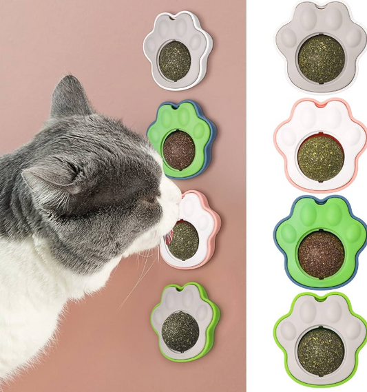 Cat nip wall ball treat