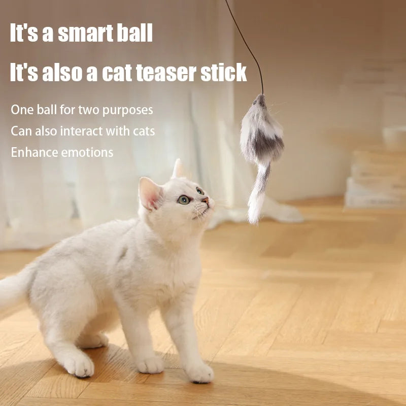 cat teaser mouse chaser ball